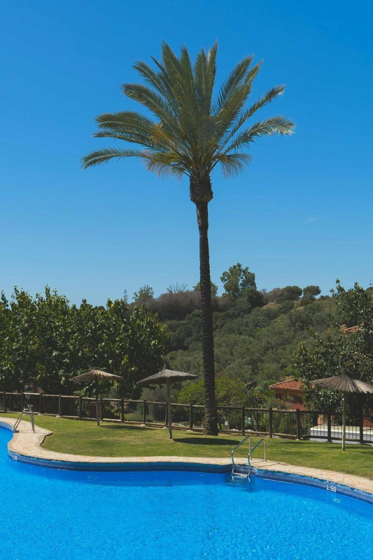 Ap. Reserva De 3 * Marbella